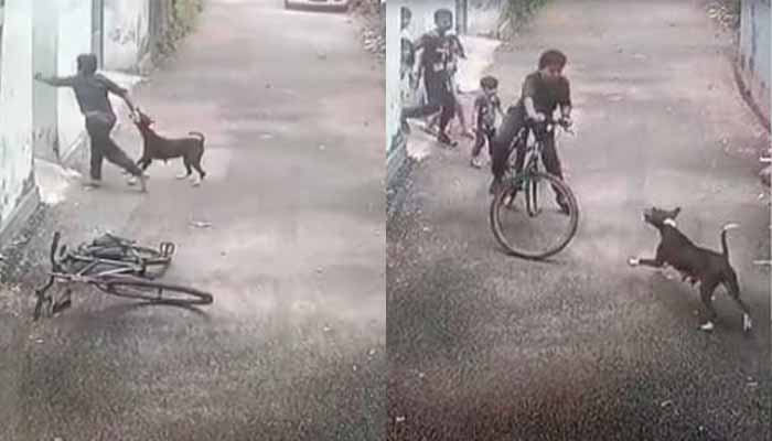 कोझीकोड में 12 साल के बच्चे पर कुत्ते ने किया जानलेवा हमला, वीडियो हुई वायरल
