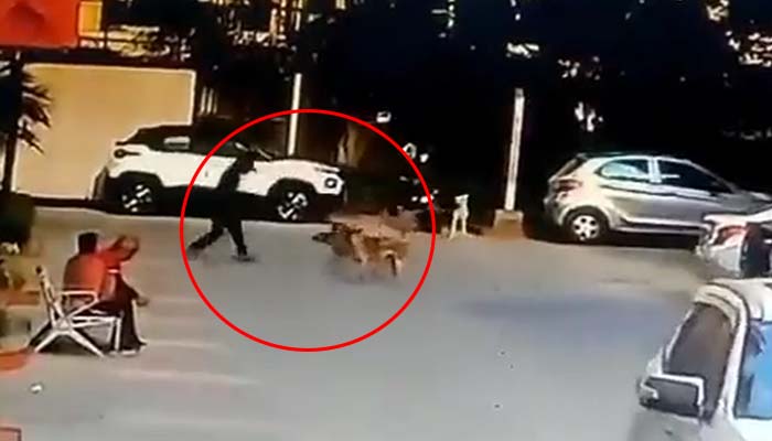 Noida Dog Attack