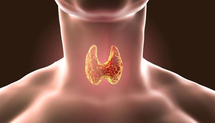 thyroid