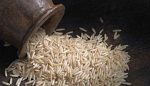 Rice Export