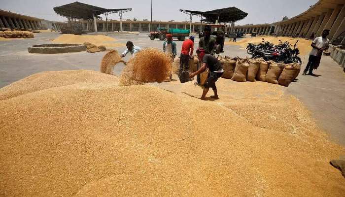 Wheat auction