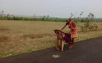 Viral Video