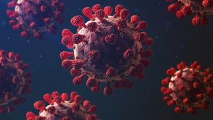 research shows fat people must not take vaccine