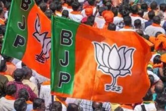 MLC Election