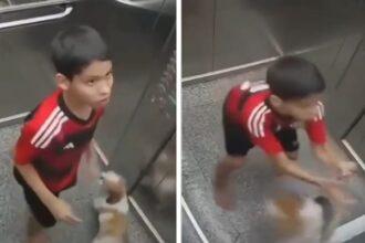 Viral Video