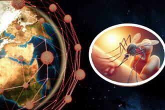 Increasing Cases of Dengue