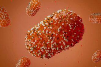 Monkeypox Virus