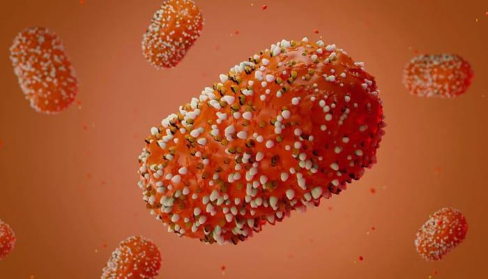 Monkeypox Virus