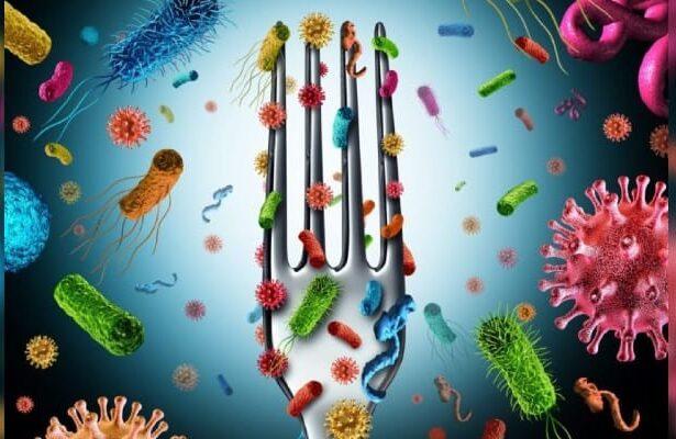 Listeria Disease