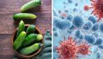 Salmonella Poisoning
