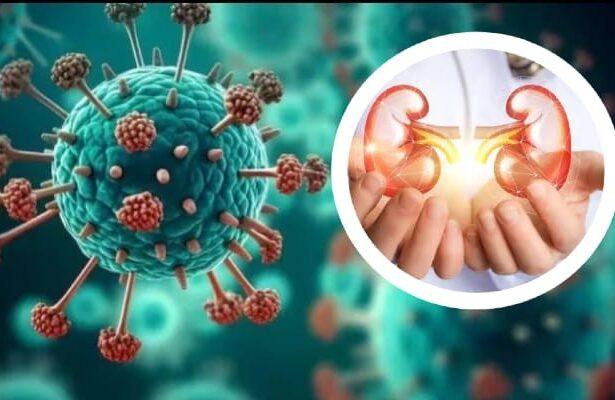 HMPV Virus