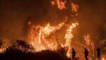 Los Angeles Wildfire