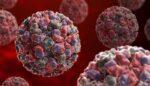 Norovirus