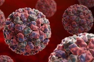 Norovirus