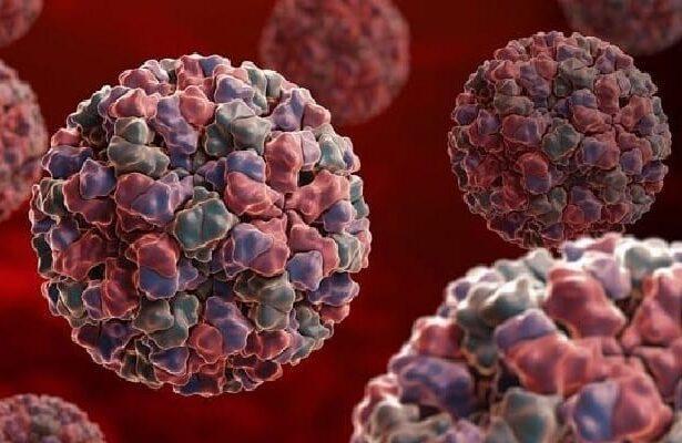 Norovirus
