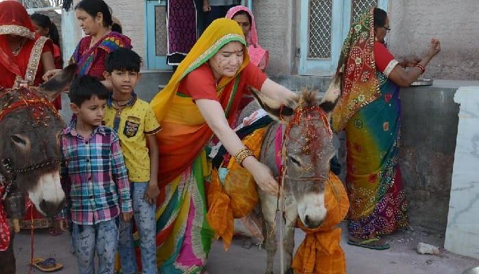 Donkey Worship Tradition