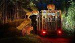 Lucknow Night Safari